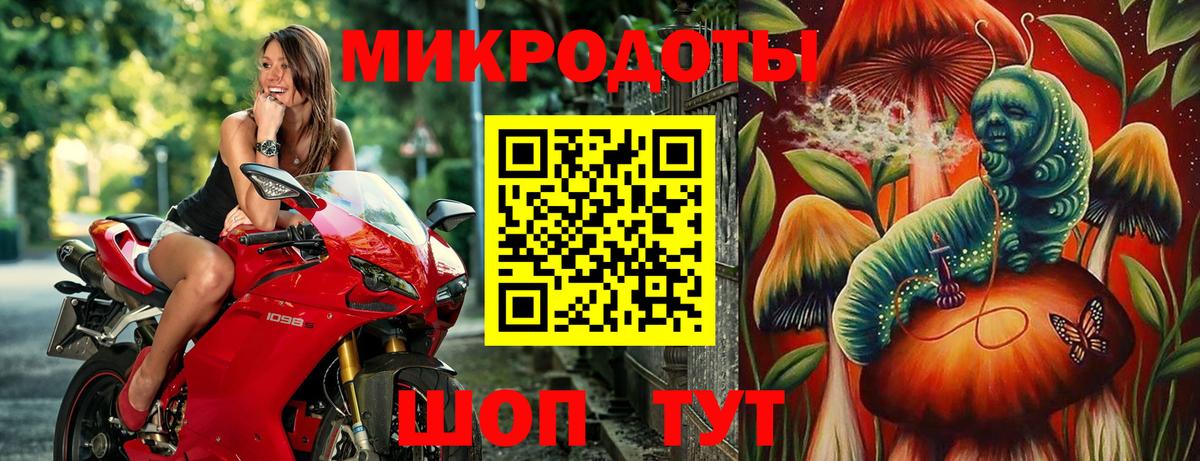 Галлюциногенные грибы Psilocybine cubensis Оренбург