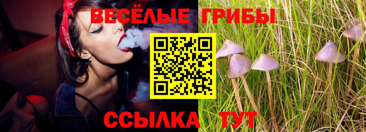 Псилоцибиновые грибы мухоморы  Вход с VPN  Оренбург  Псилоцибиновые грибы Magic Shrooms 